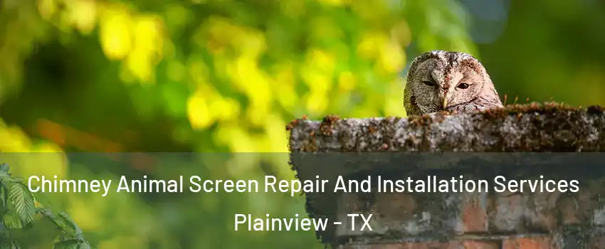  Chimney Animal Screen Repair And Installation Services Plainview - TX
