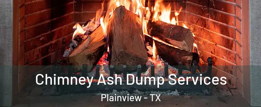  Chimney Ash Dump Services Plainview - TX