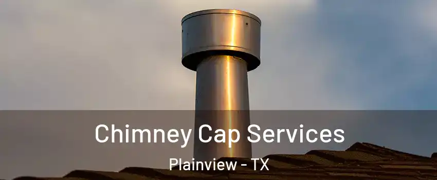  Chimney Cap Services Plainview - TX