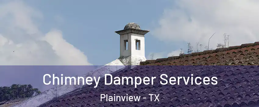  Chimney Damper Services Plainview - TX