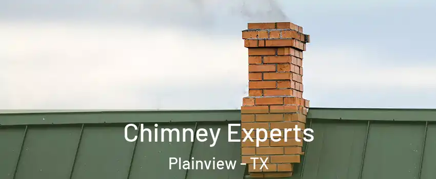  Chimney Experts Plainview - TX