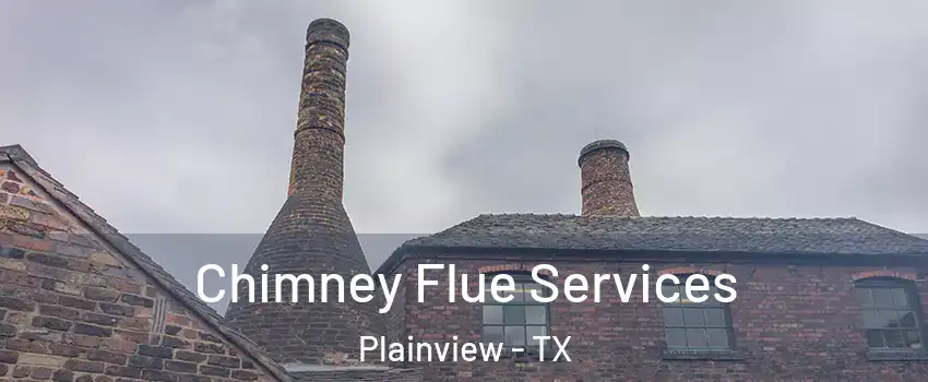  Chimney Flue Services Plainview - TX