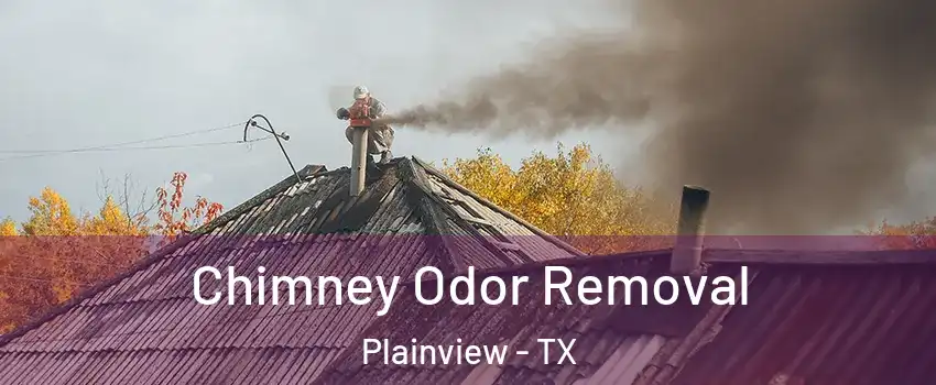  Chimney Odor Removal Plainview - TX