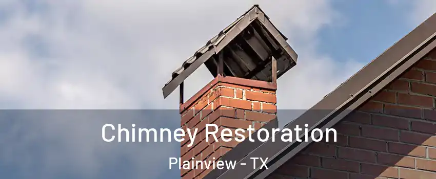  Chimney Restoration Plainview - TX