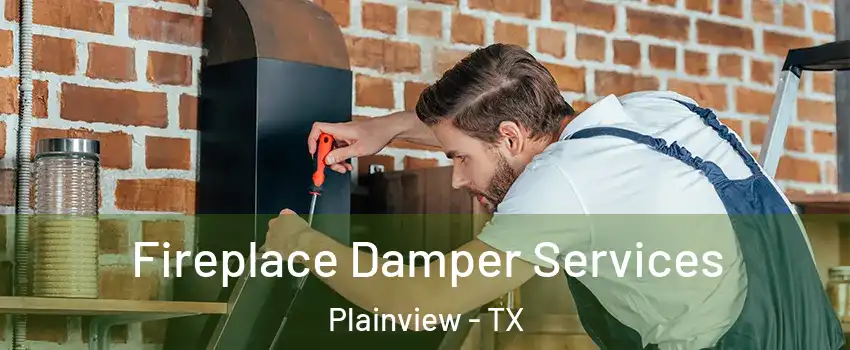  Fireplace Damper Services Plainview - TX