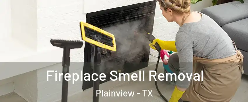  Fireplace Smell Removal Plainview - TX