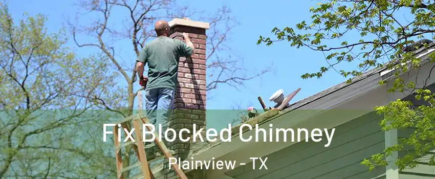  Fix Blocked Chimney Plainview - TX