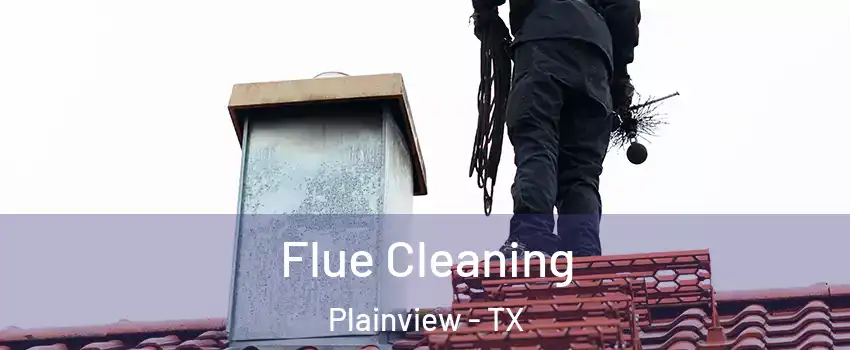  Flue Cleaning Plainview - TX