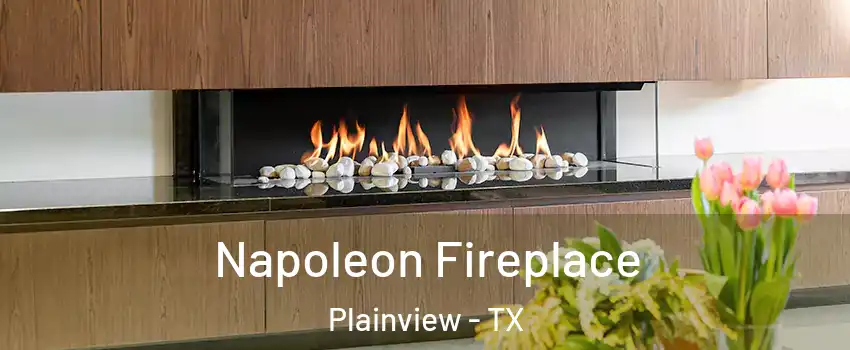  Napoleon Fireplace Plainview - TX